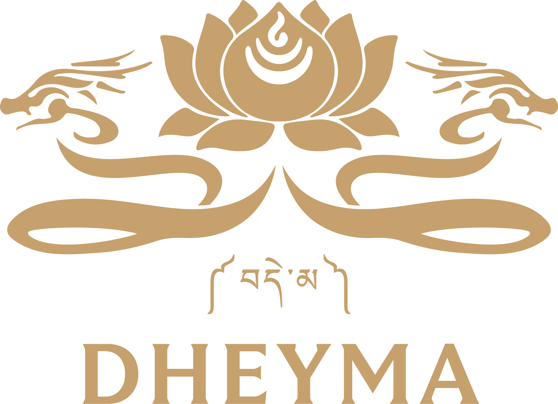 Dheyma